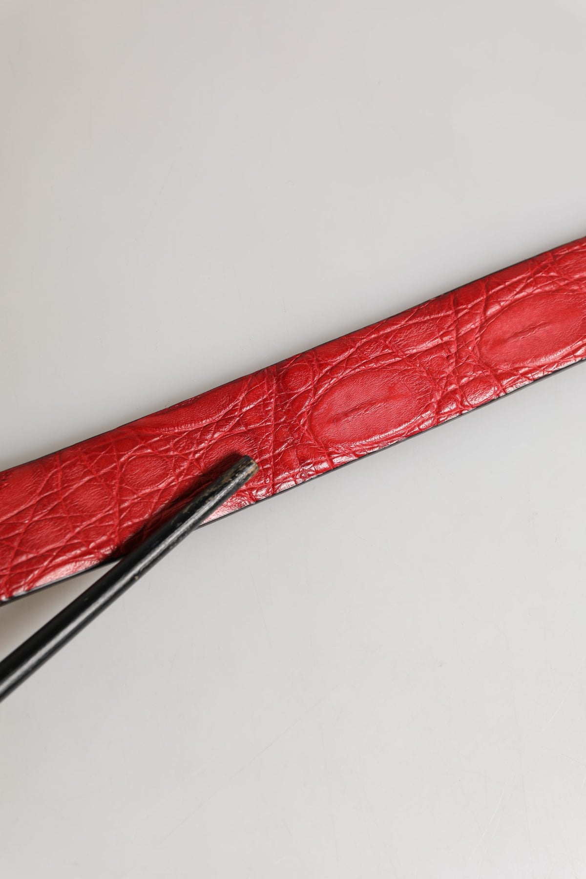 Dolce & Gabbana Men Red Exotic Leather Metal Buckle Belt