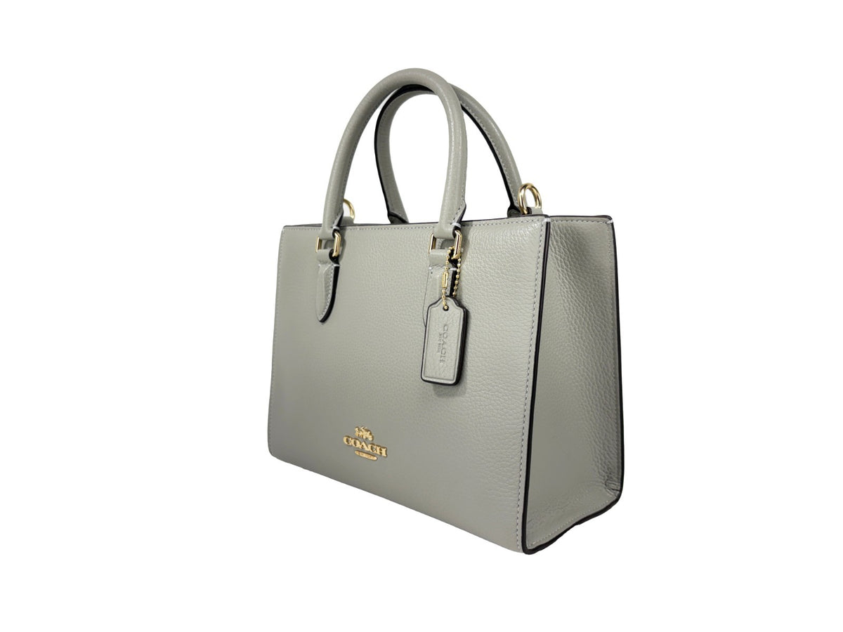 COACH Coach Maggie Small Leather Crossbody Tote Bag