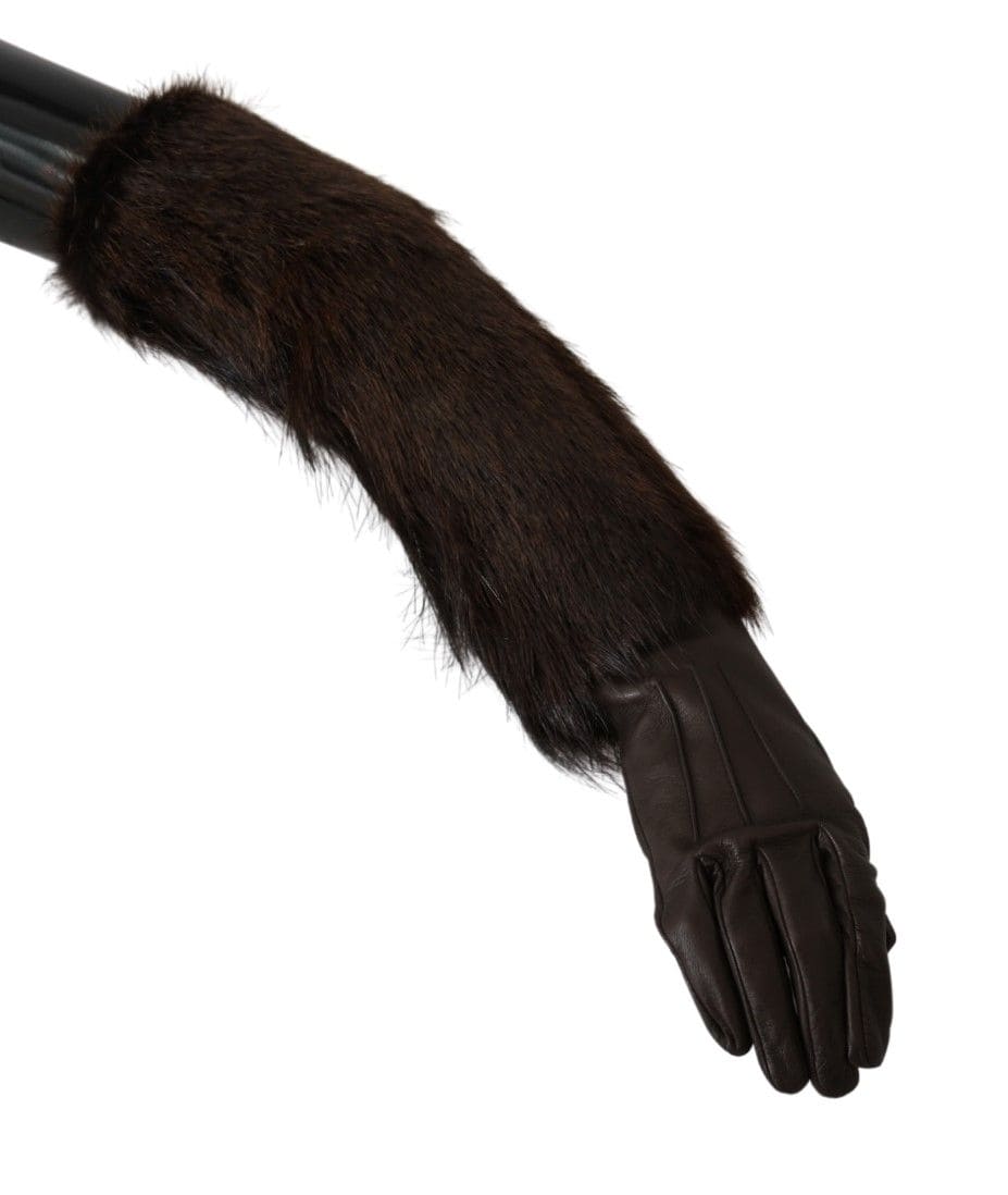 Gants élégants en cuir longueur coude Dolce &amp; Gabbana