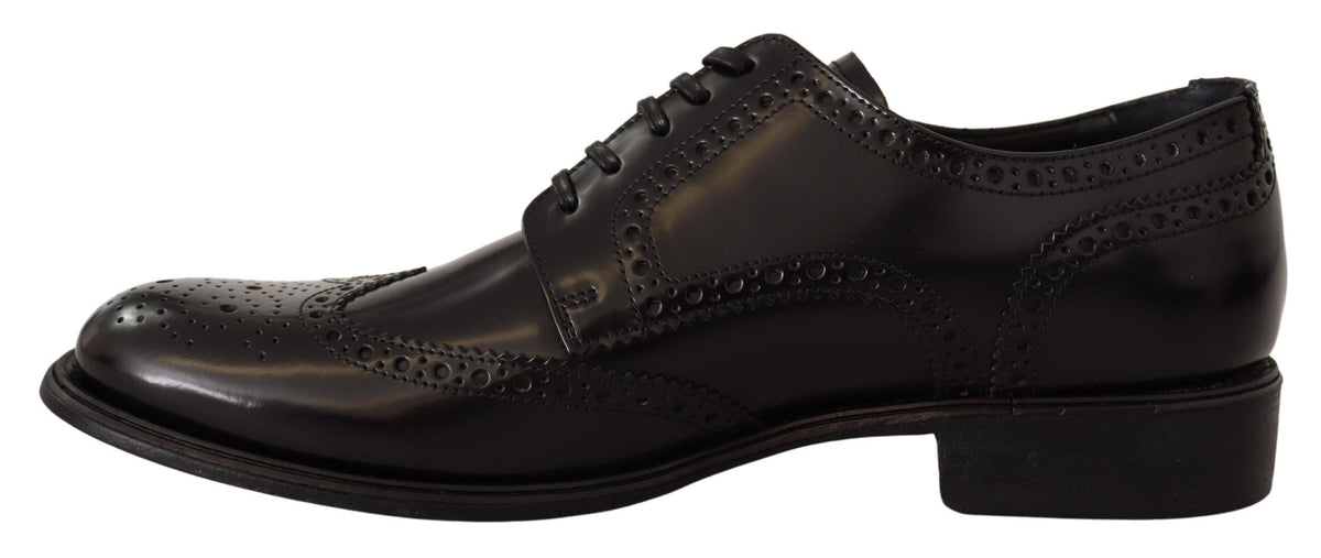 Zapatos Derby Oxford elegantes con punta de ala de Dolce &amp; Gabbana