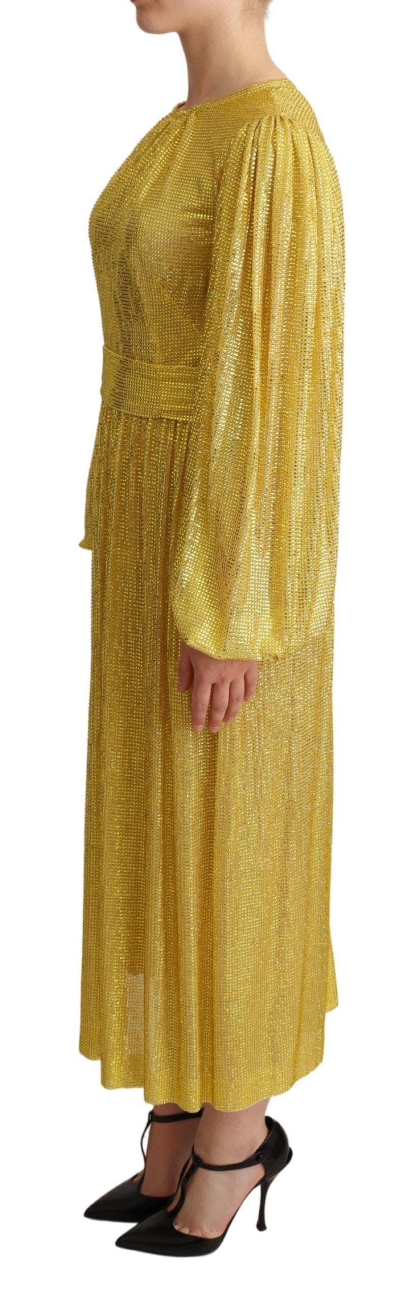 Robe longue plissée ornée de cristaux Dolce &amp; Gabbana