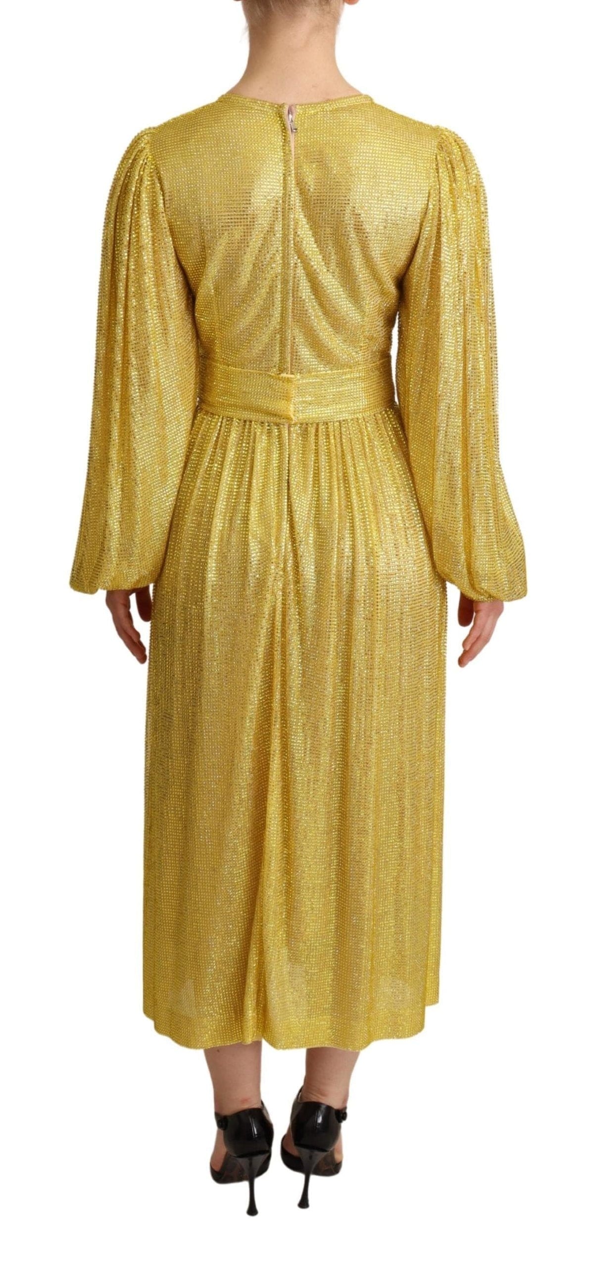 Robe longue plissée ornée de cristaux Dolce &amp; Gabbana