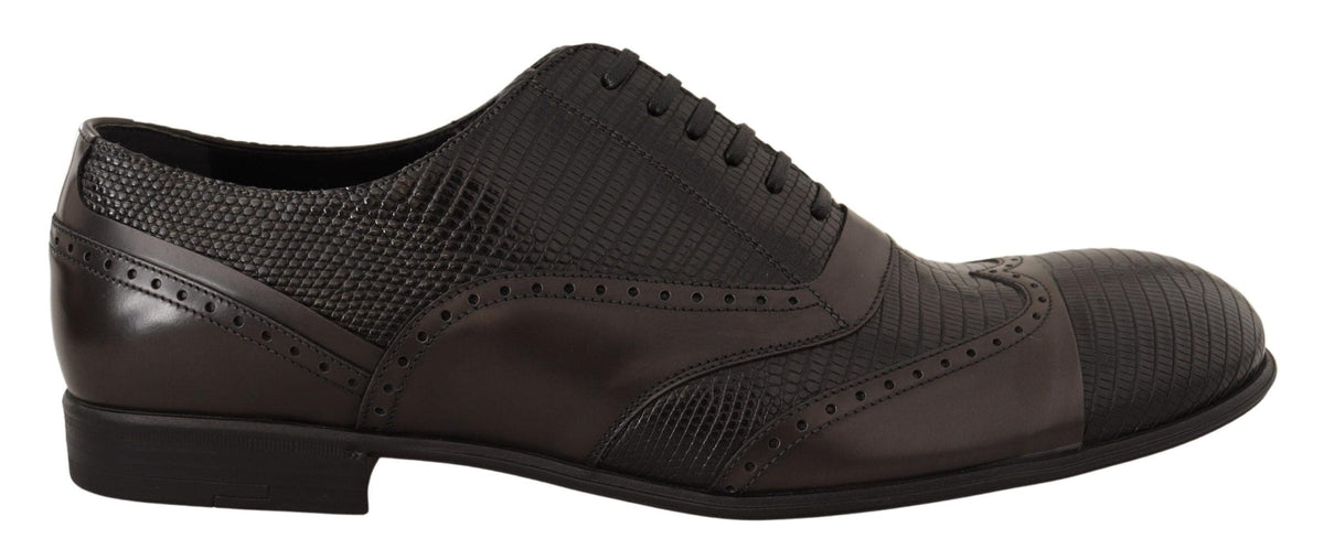 Chaussures Oxford élégantes en cuir de lézard marron Dolce &amp; Gabbana