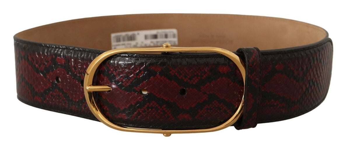 Ceinture élégante en cuir de python rouge Dolce &amp; Gabbana avec boucle dorée