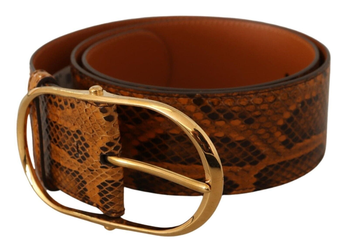 Ceinture élégante en cuir de python Dolce &amp; Gabbana