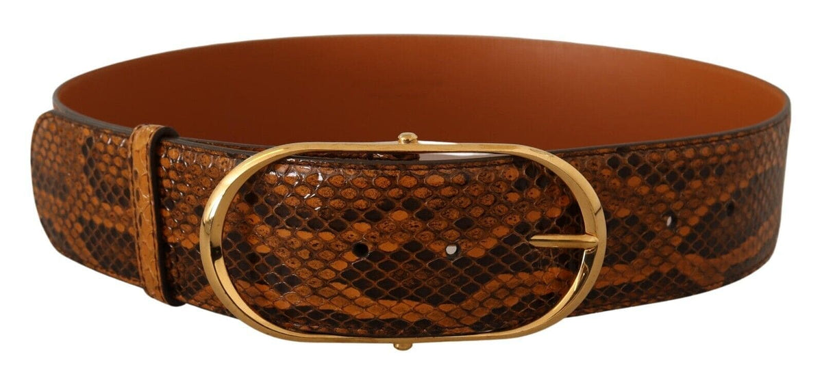 Ceinture élégante en cuir de python Dolce &amp; Gabbana