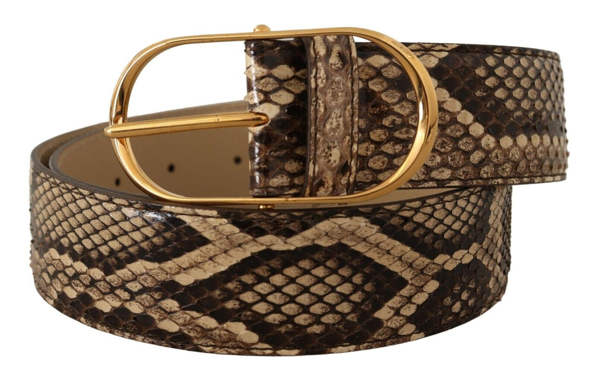 Ceinture élégante en cuir phyton Dolce &amp; Gabbana avec boucle dorée