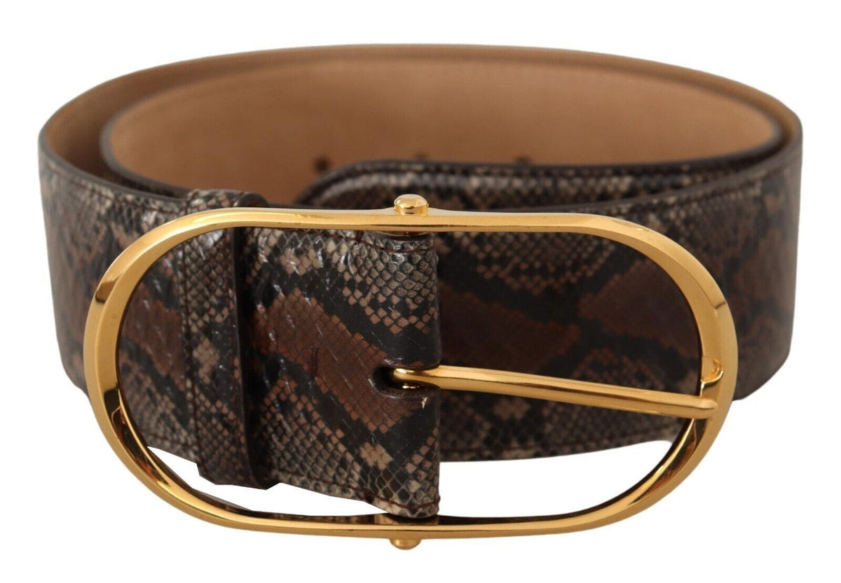 Ceinture élégante en cuir marron avec boucle dorée Dolce &amp; Gabbana