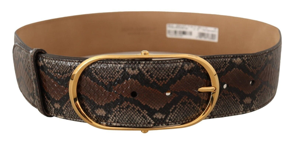 Ceinture élégante en cuir marron avec boucle dorée Dolce &amp; Gabbana