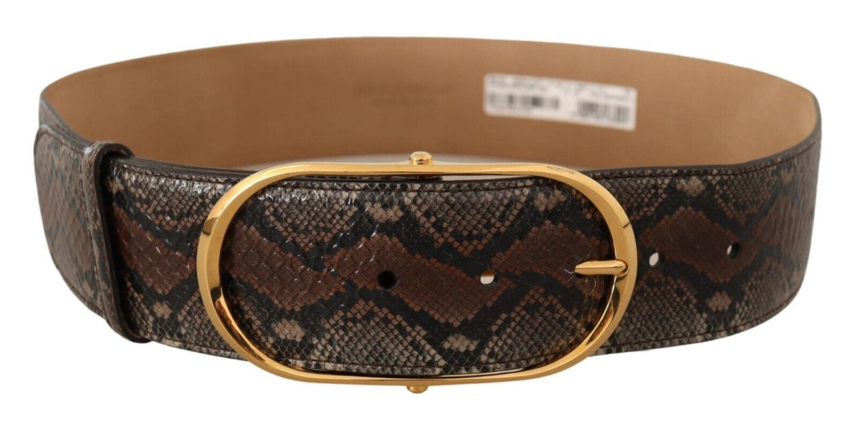 Ceinture élégante en cuir marron avec boucle dorée Dolce &amp; Gabbana