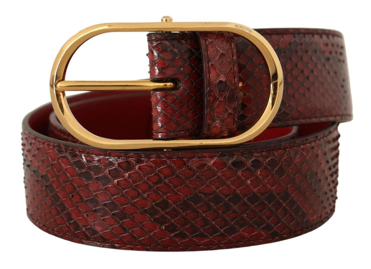 Ceinture élégante en cuir de serpent rouge Dolce &amp; Gabbana