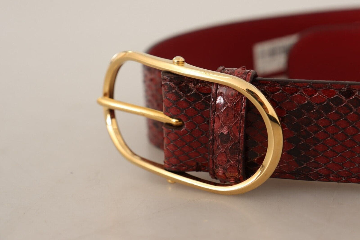 Ceinture élégante en cuir de serpent rouge Dolce &amp; Gabbana