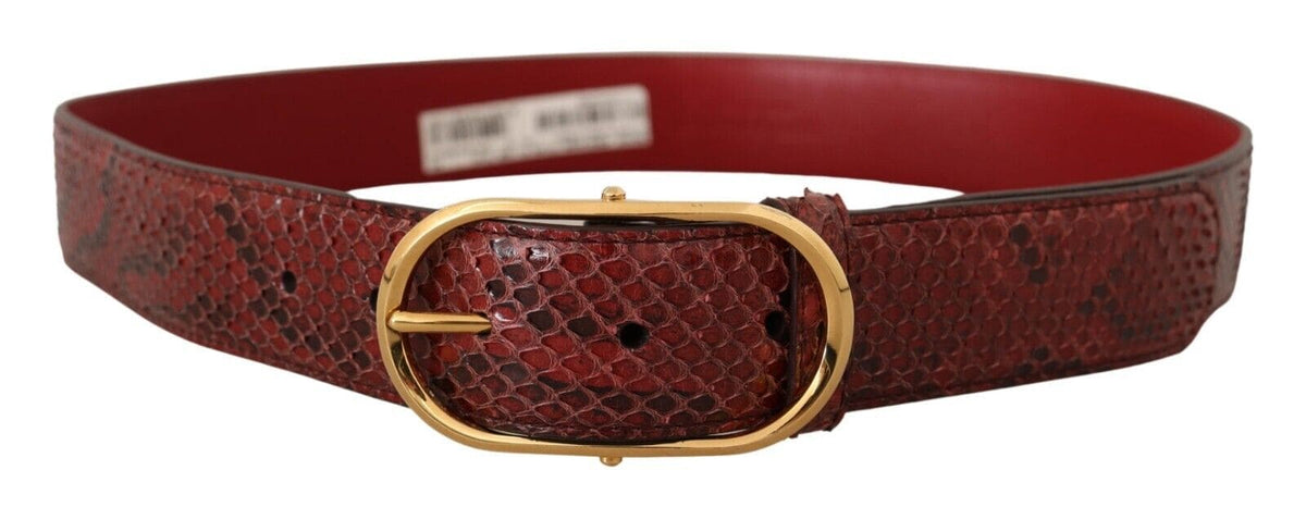 Ceinture élégante en cuir de serpent rouge Dolce &amp; Gabbana