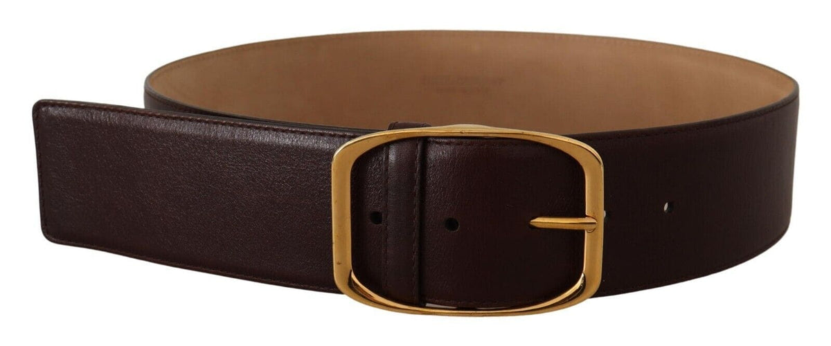 Ceinture élégante en cuir marron foncé Dolce &amp; Gabbana avec boucle dorée