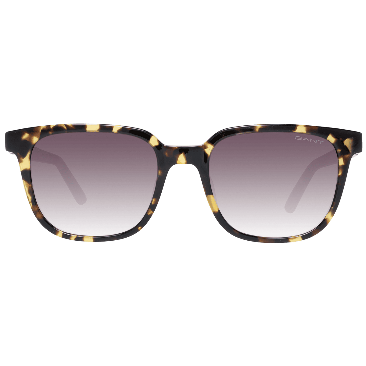 Gant Brown Men Sunglasses