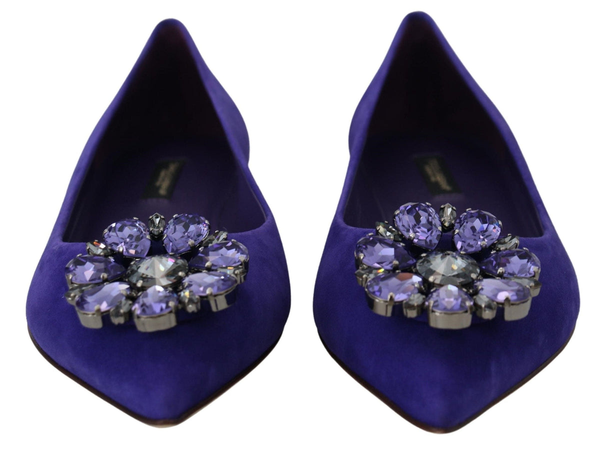 Ballerines en daim violet ornées de cristaux Dolce &amp; Gabbana