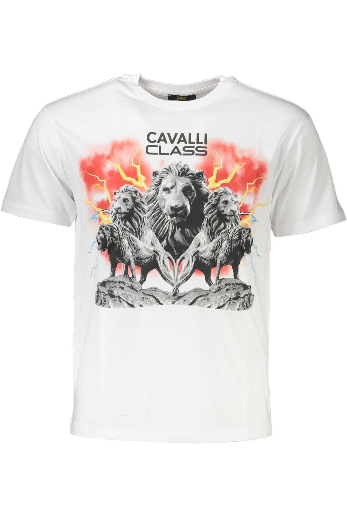 Camiseta elegante con estampado de logotipo en color blanco de Cavalli Class