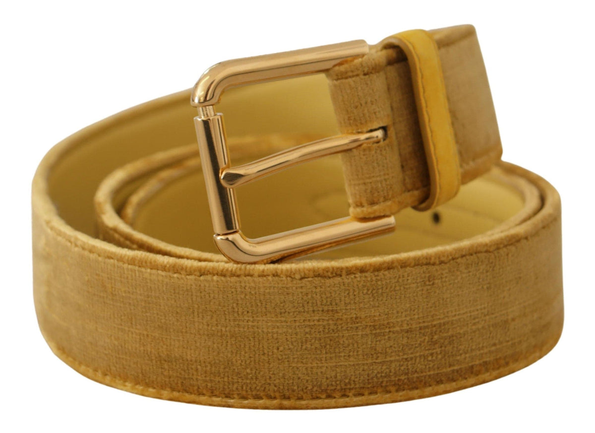 Ceinture élégante en velours avec boucle dorée Dolce &amp; Gabbana