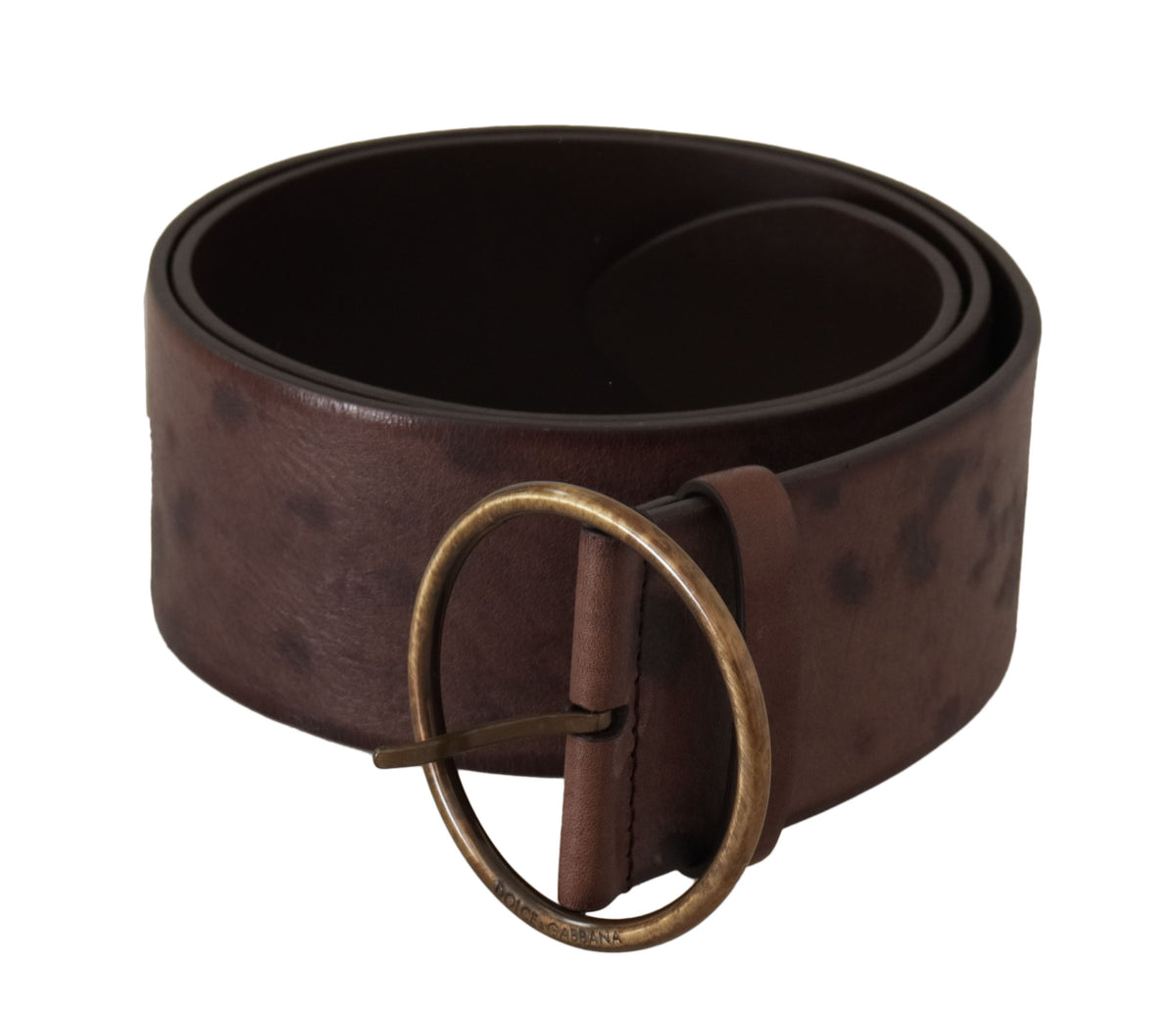 Ceinture élégante en cuir marron foncé Dolce &amp; Gabbana avec boucle à logo