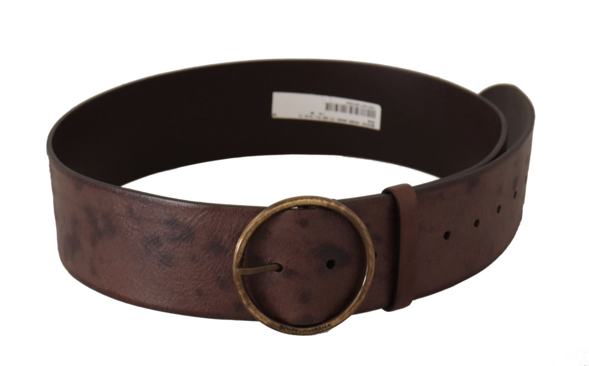 Ceinture élégante en cuir marron foncé Dolce &amp; Gabbana avec boucle à logo