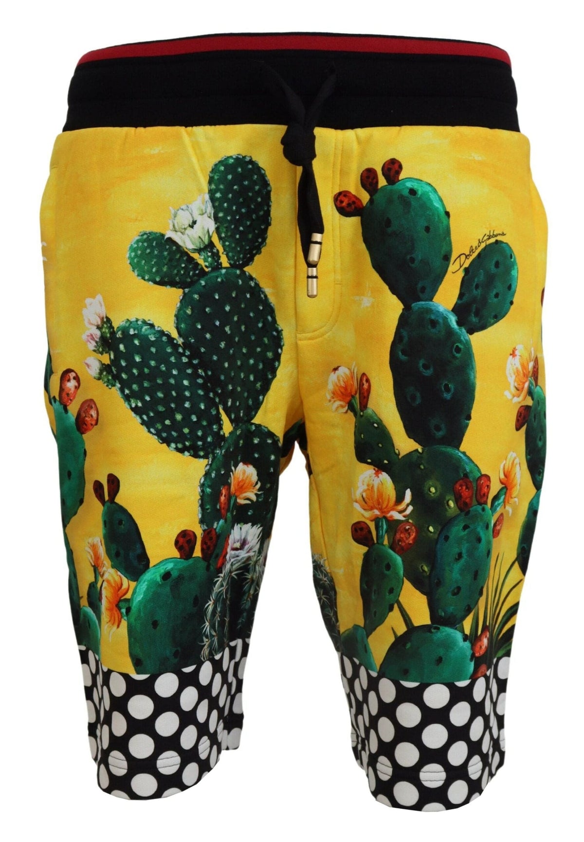 Pantalones cortos deportivos con estampado de cactus multicolor de Dolce &amp; Gabbana