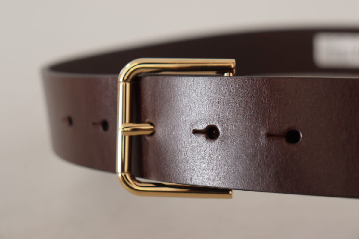 Ceinture élégante en cuir marron foncé Dolce &amp; Gabbana