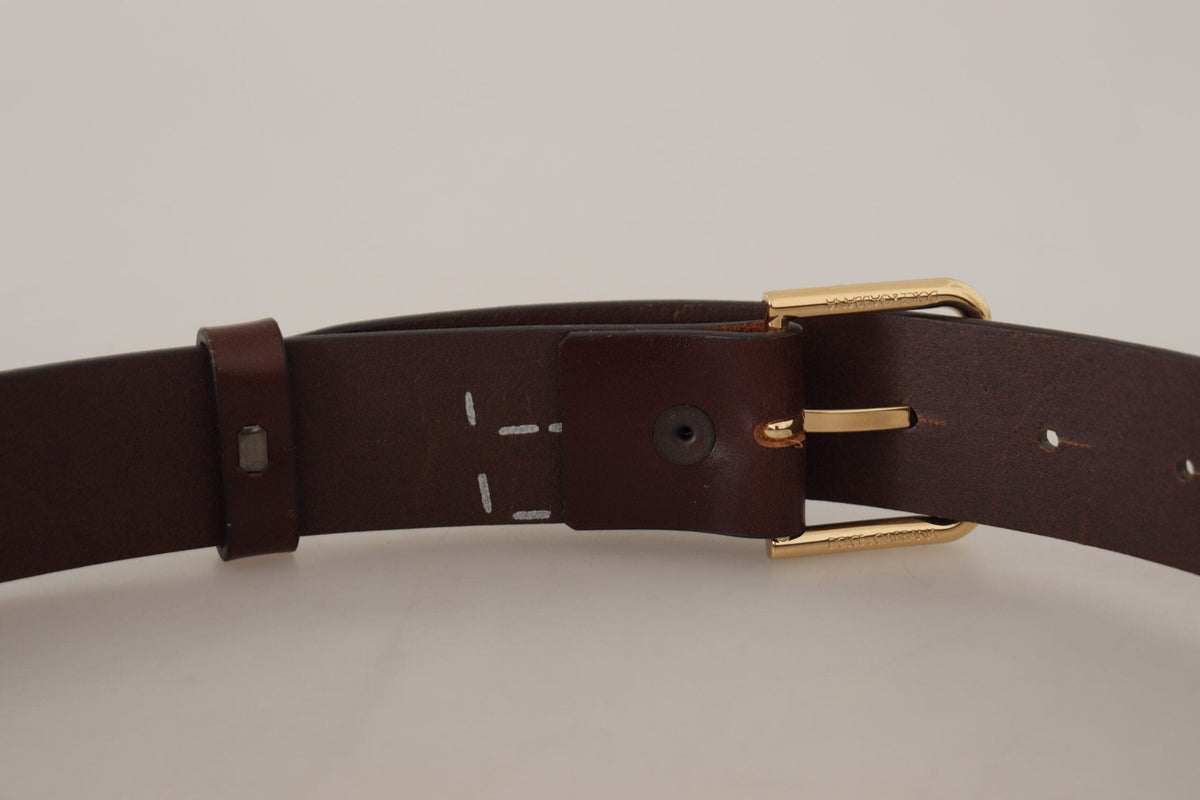 Ceinture élégante en cuir marron foncé Dolce &amp; Gabbana