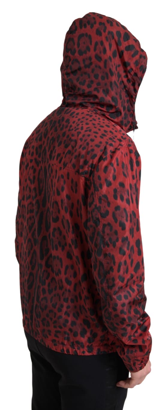 Cazadora bomber con capucha y estampado de leopardo rojo de Dolce &amp; Gabbana