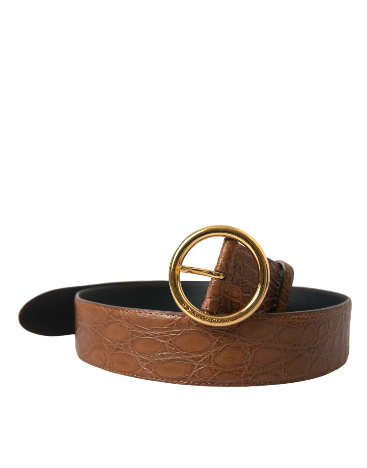 Ceinture élégante en cuir exotique Dolce &amp; Gabbana - Marron foncé