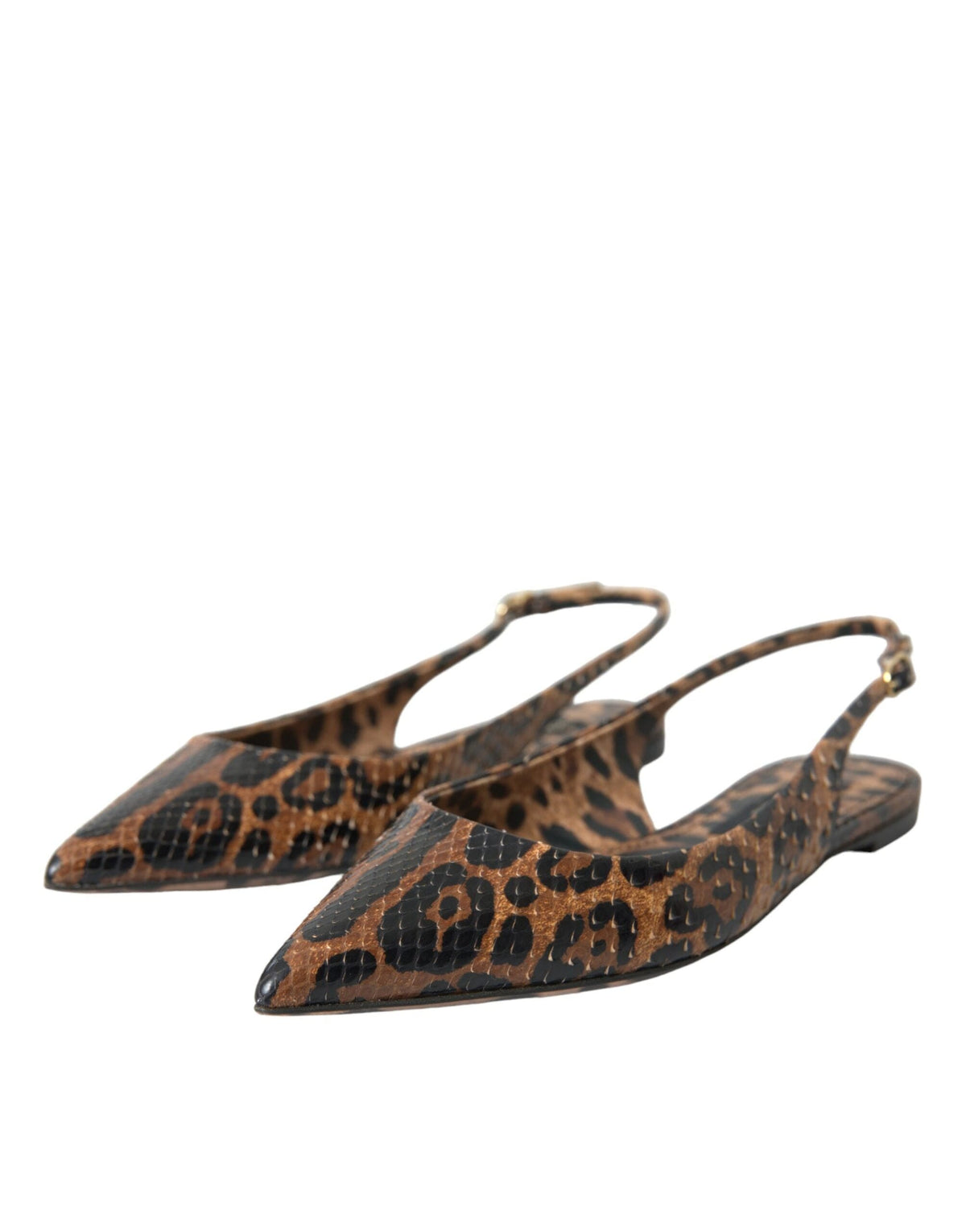 Zapatos de tira trasera con diseño de leopardo exótico en marrón de Dolce &amp; Gabbana