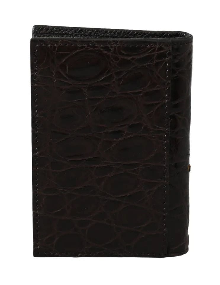 Portefeuille porte-cartes pour homme Dolce &amp; Gabbana marron 100 % caïman