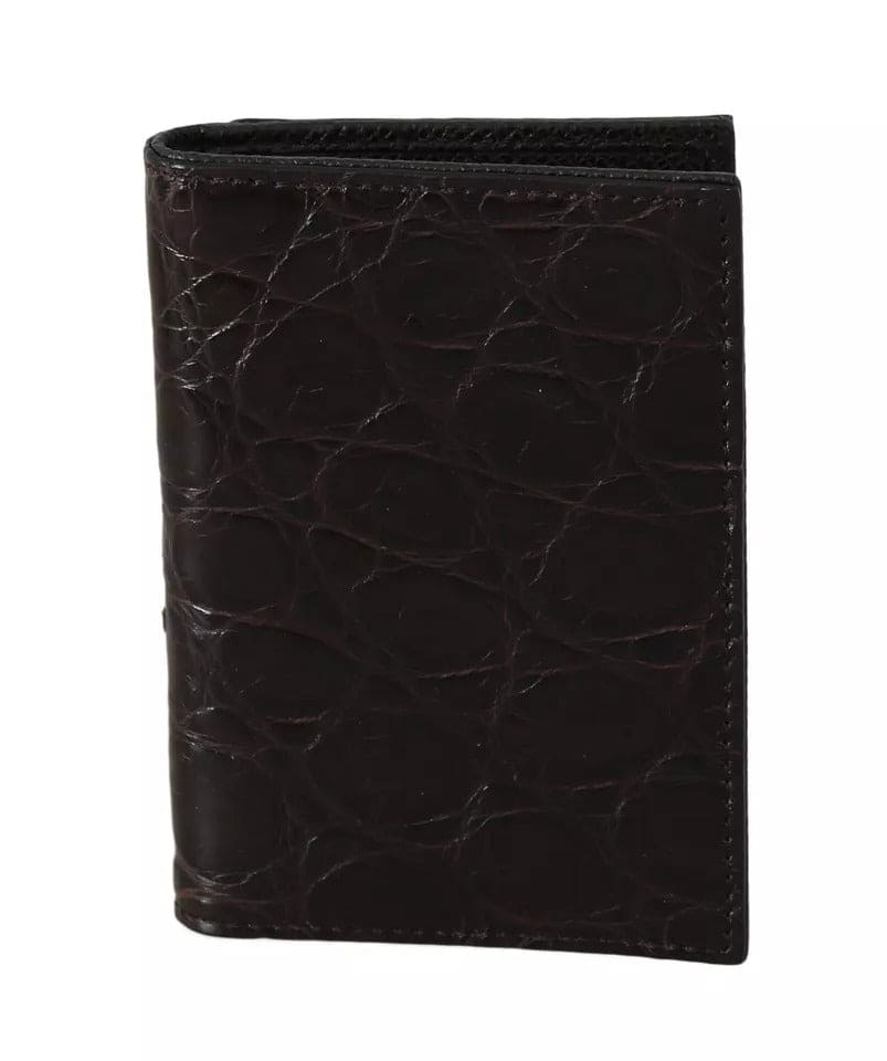 Portefeuille porte-cartes pour homme Dolce &amp; Gabbana marron 100 % caïman