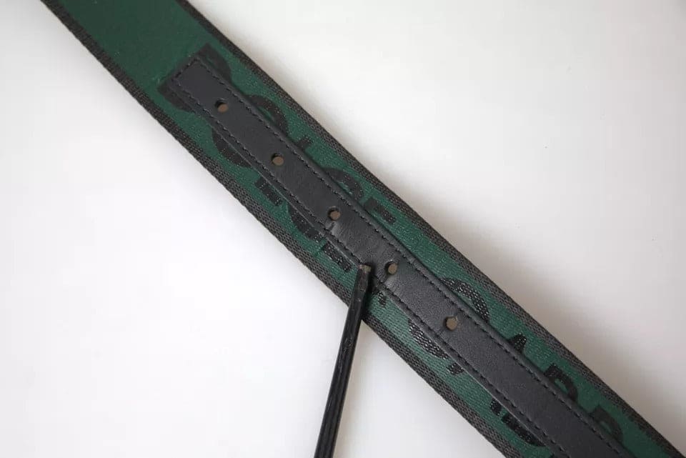 Ceinture Dolce &amp; Gabbana avec boucle en métal argenté et logo noir et vert