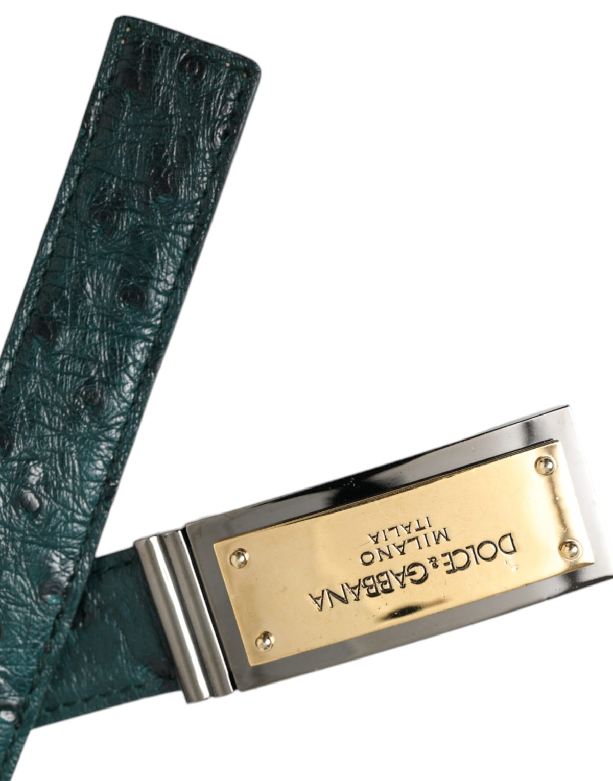 Ceinture Dolce &amp; Gabbana en cuir vert avec boucle gravée du logo doré