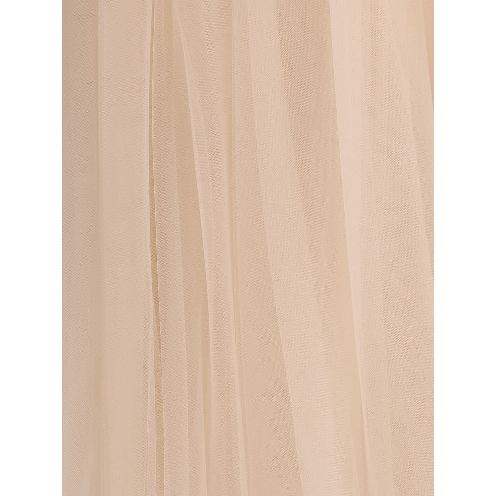 Fabiana Filippi tulle Midi Skirt