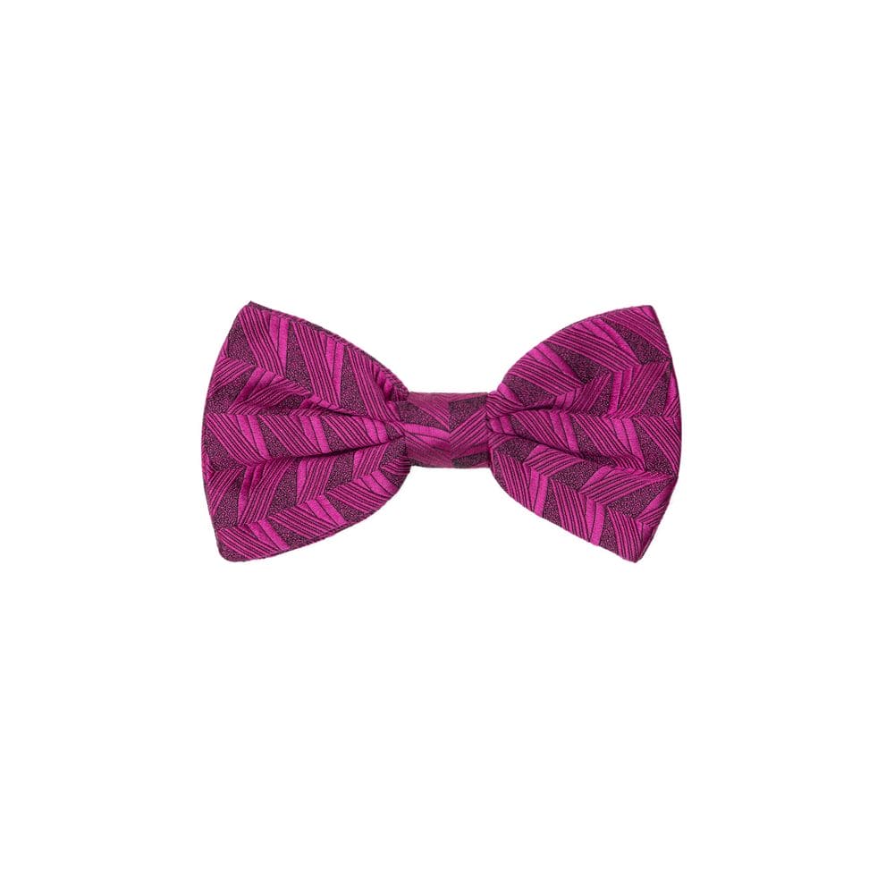 Dolce & Gabbana Fuchsia Silk Ties & Bowty