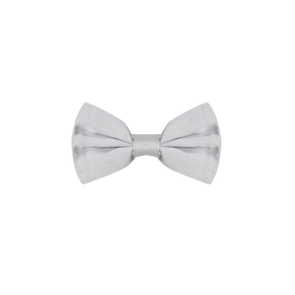 Dolce & Gabbana Silver Silk Ties & Bowty