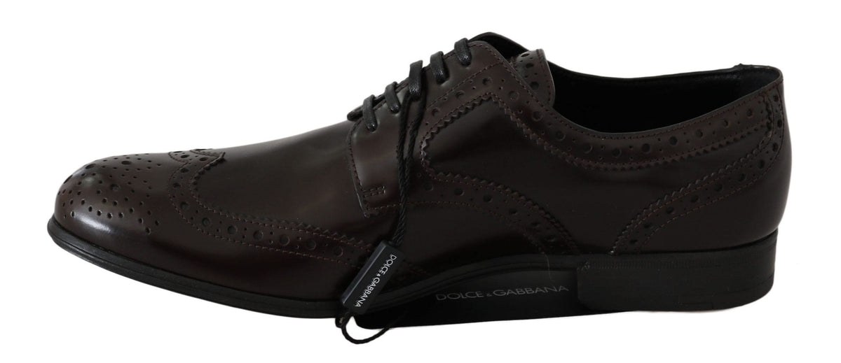 Chaussures plates Oxford élégantes en cuir marron Dolce &amp; Gabbana