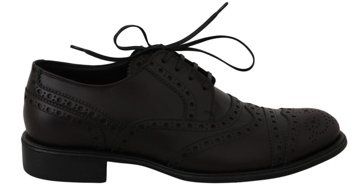 Chaussures Derby élégantes à bout golf Bordeaux Dolce &amp; Gabbana