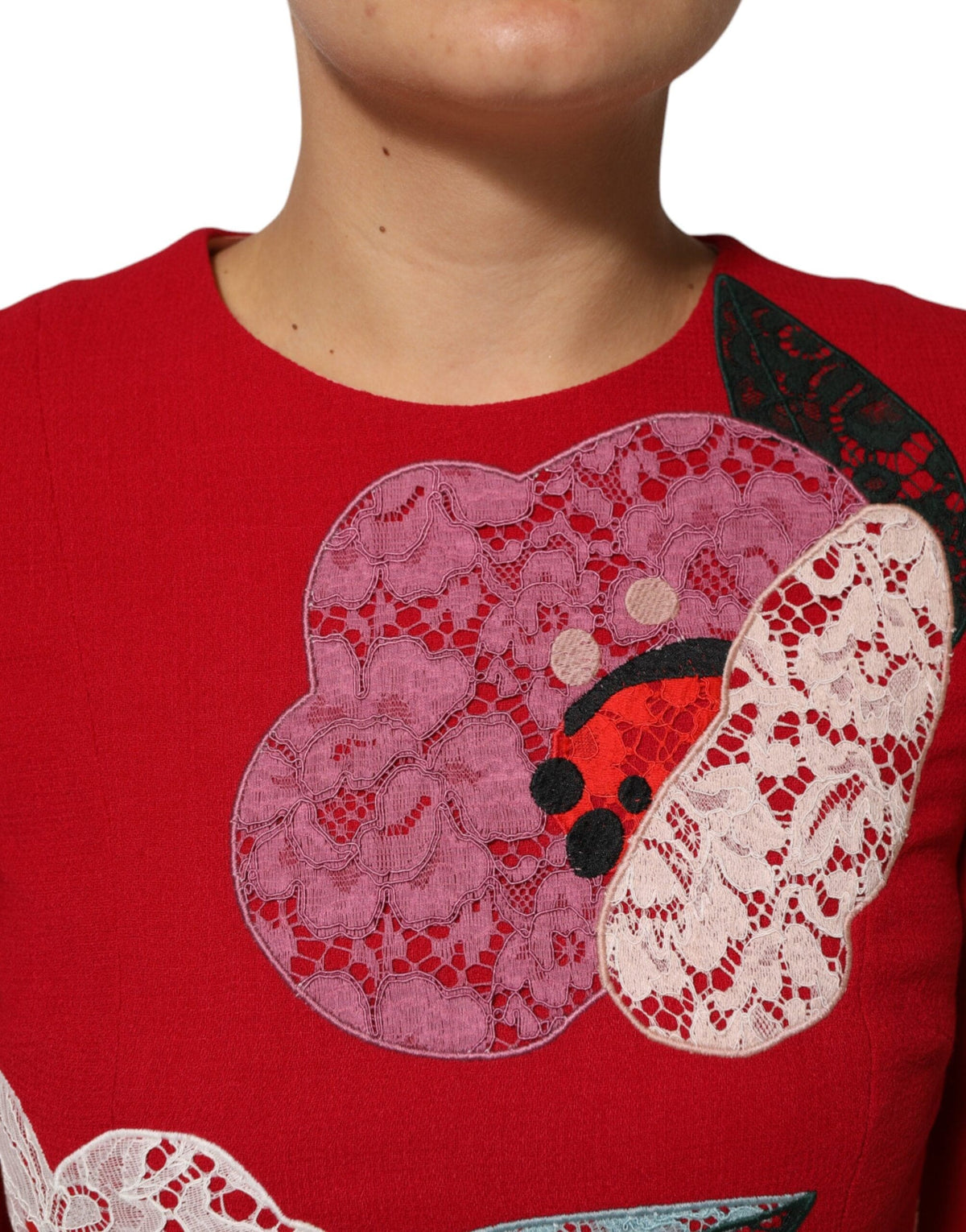 Dolce & Gabbana Red Lace Floral Applique A-line Mini Dress