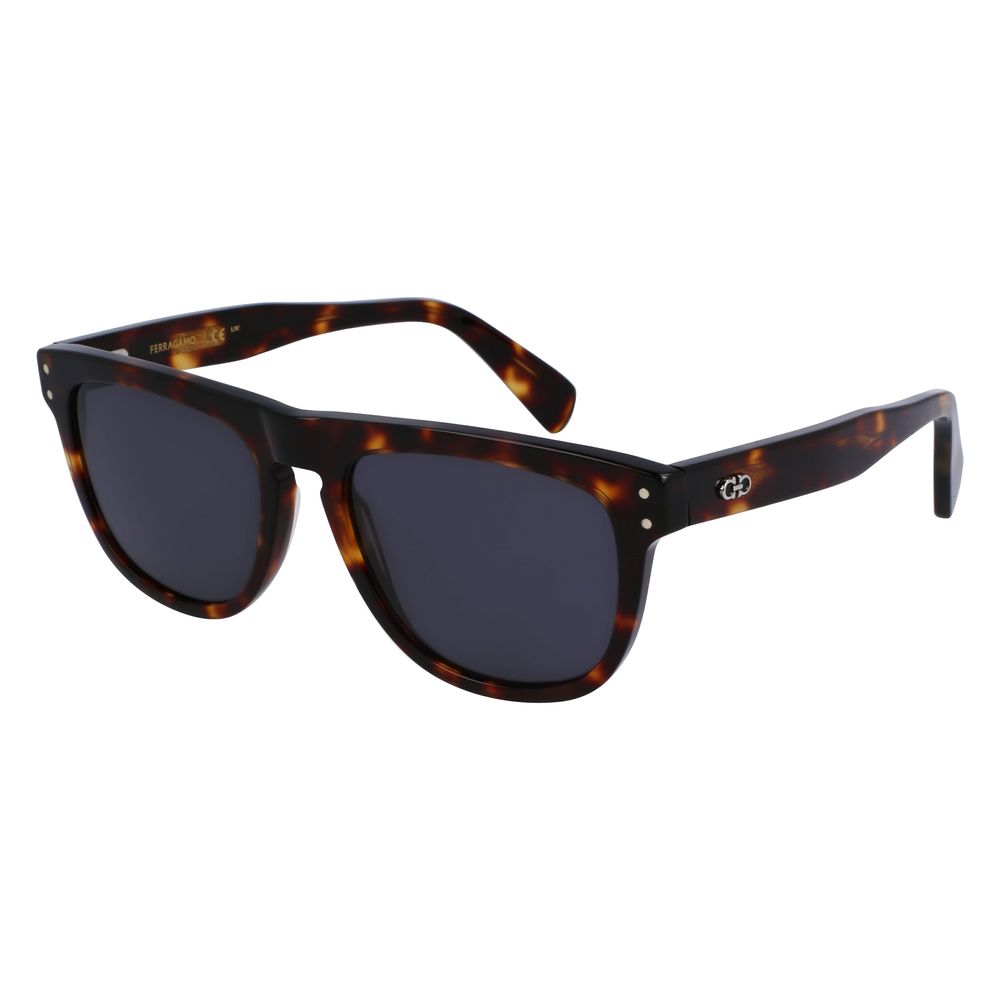 Ferragamo Brown Acetate Sunglasses