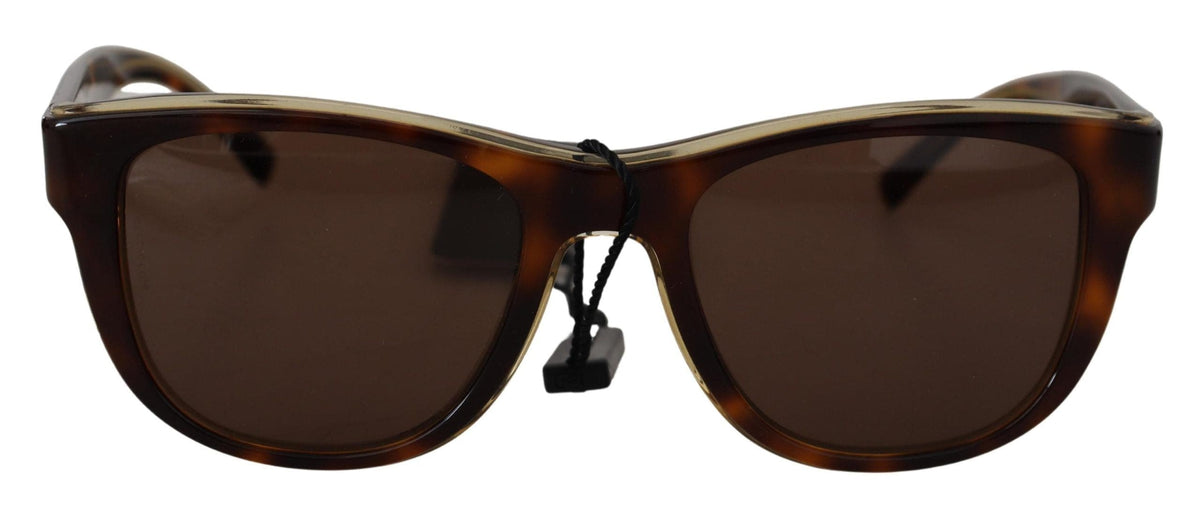 Lunettes de soleil unisexes chics en acétate marron Dolce &amp; Gabbana