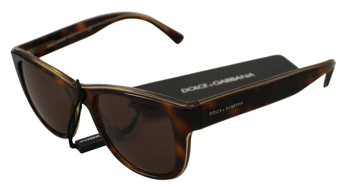 Lunettes de soleil unisexes chics en acétate marron Dolce &amp; Gabbana