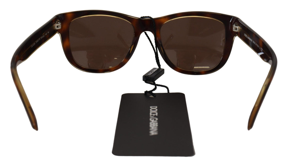 Lunettes de soleil unisexes chics en acétate marron Dolce &amp; Gabbana