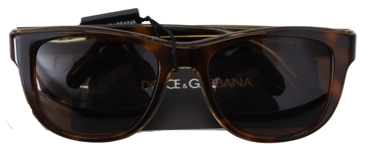 Lunettes de soleil unisexes chics en acétate marron Dolce &amp; Gabbana